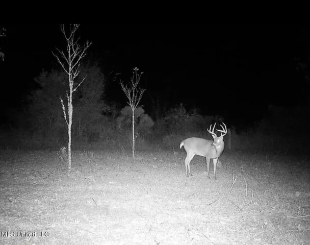 $346,000 | 1195 Highway 570, Waterproof, LA 71375