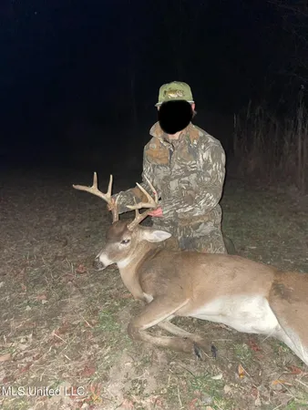 $346,000 | 1195 Highway 570, Waterproof, LA 71375