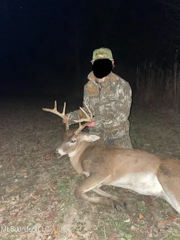 $346,000 | 1195 Highway 570, Waterproof, LA 71375