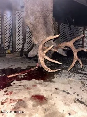 $346,000 | 1195 Highway 570, Waterproof, LA 71375