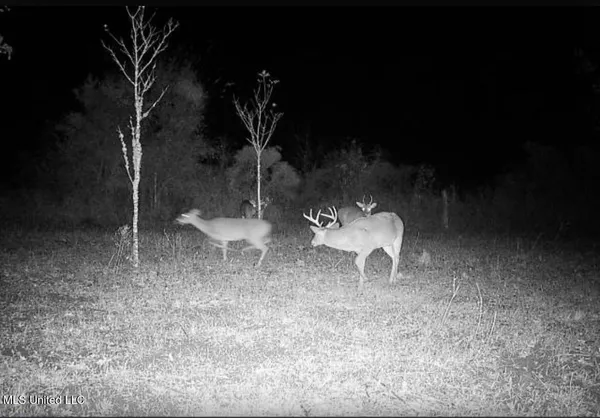 $346,000 | 1195 Highway 570, Waterproof, LA 71375