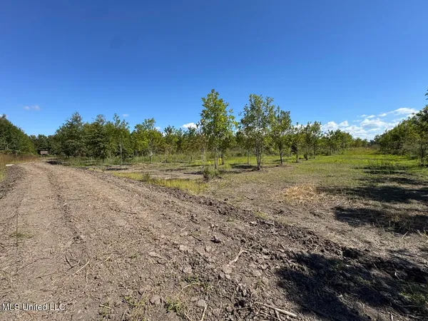 $346,000 | 1195 Highway 570, Waterproof, LA 71375