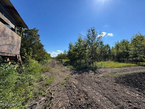 $346,000 | 1195 Highway 570, Waterproof, LA 71375