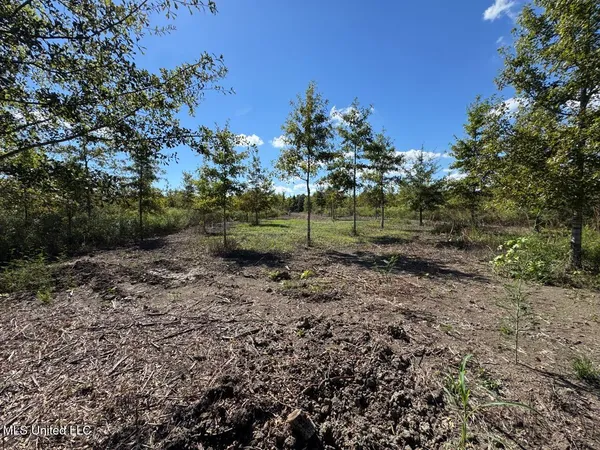 $346,000 | 1195 Highway 570, Waterproof, LA 71375