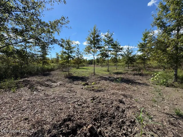 $346,000 | 1195 Highway 570, Waterproof, LA 71375