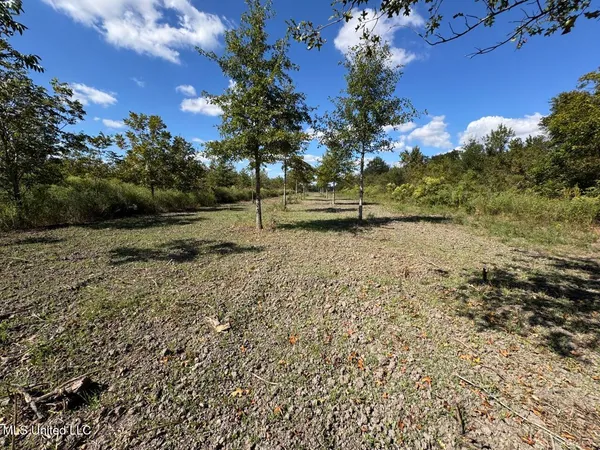 $346,000 | 1195 Highway 570, Waterproof, LA 71375