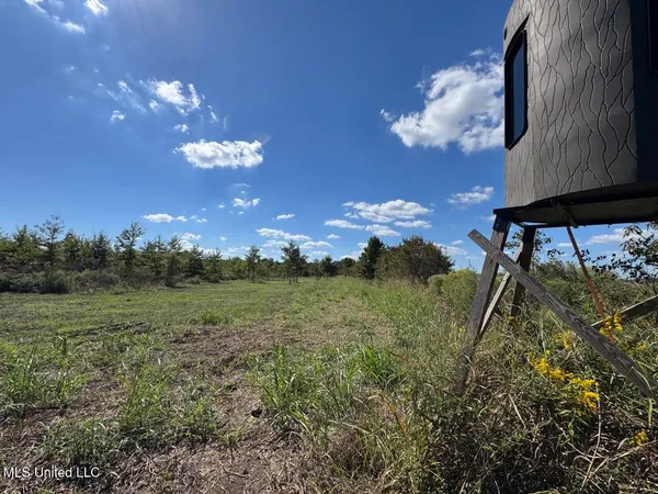 $346,000 | 1195 Highway 570, Waterproof, LA 71375