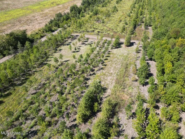 $346,000 | 1195 Highway 570, Waterproof, LA 71375