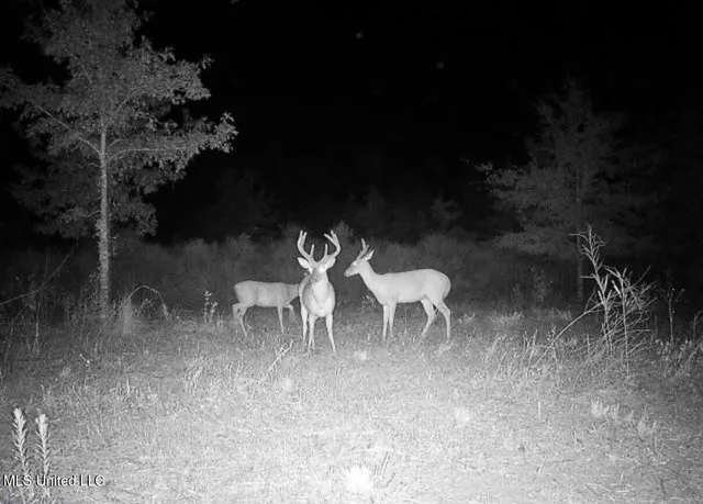 $346,000 | 1195 Highway 570, Waterproof, LA 71375