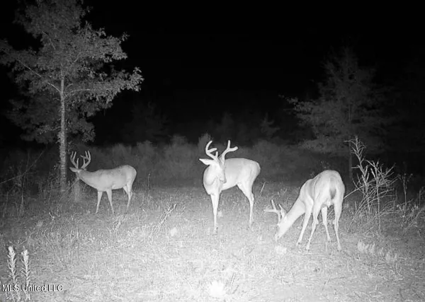 $346,000 | 1195 Highway 570, Waterproof, LA 71375