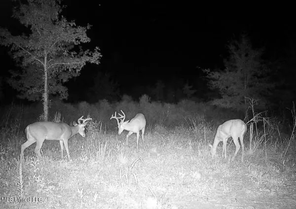 $346,000 | 1195 Highway 570, Waterproof, LA 71375