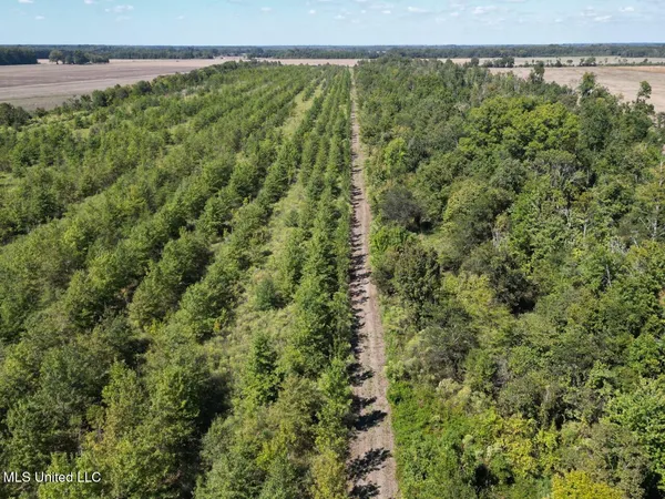 $346,000 | 1195 Highway 570, Waterproof, LA 71375