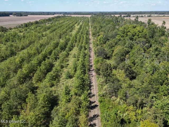 $346,000 | 1195 Highway 570, Waterproof, LA 71375