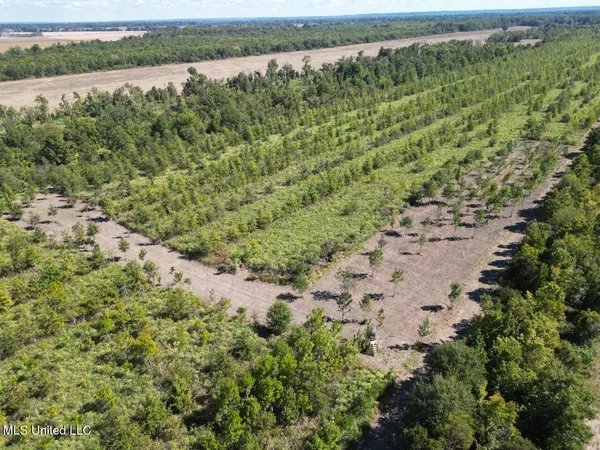 $346,000 | 1195 Highway 570, Waterproof, LA 71375