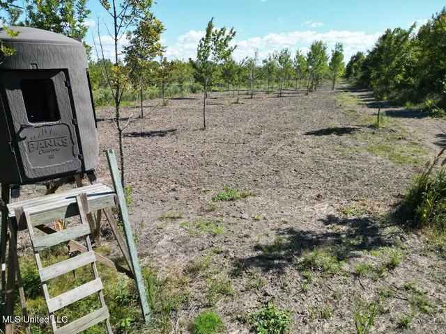 $346,000 | 1195 Highway 570, Waterproof, LA 71375