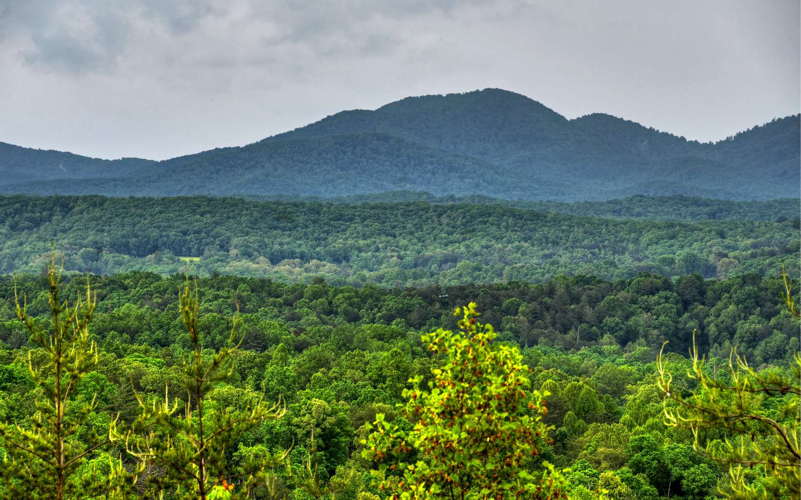 Additional View