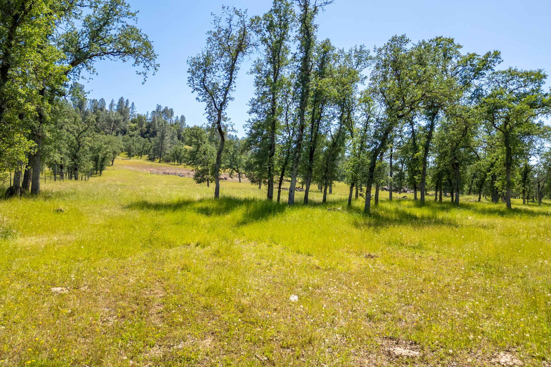 0 Racoon Way Oak Run, CA 96069 - Photo 34 of 39 Racoon027