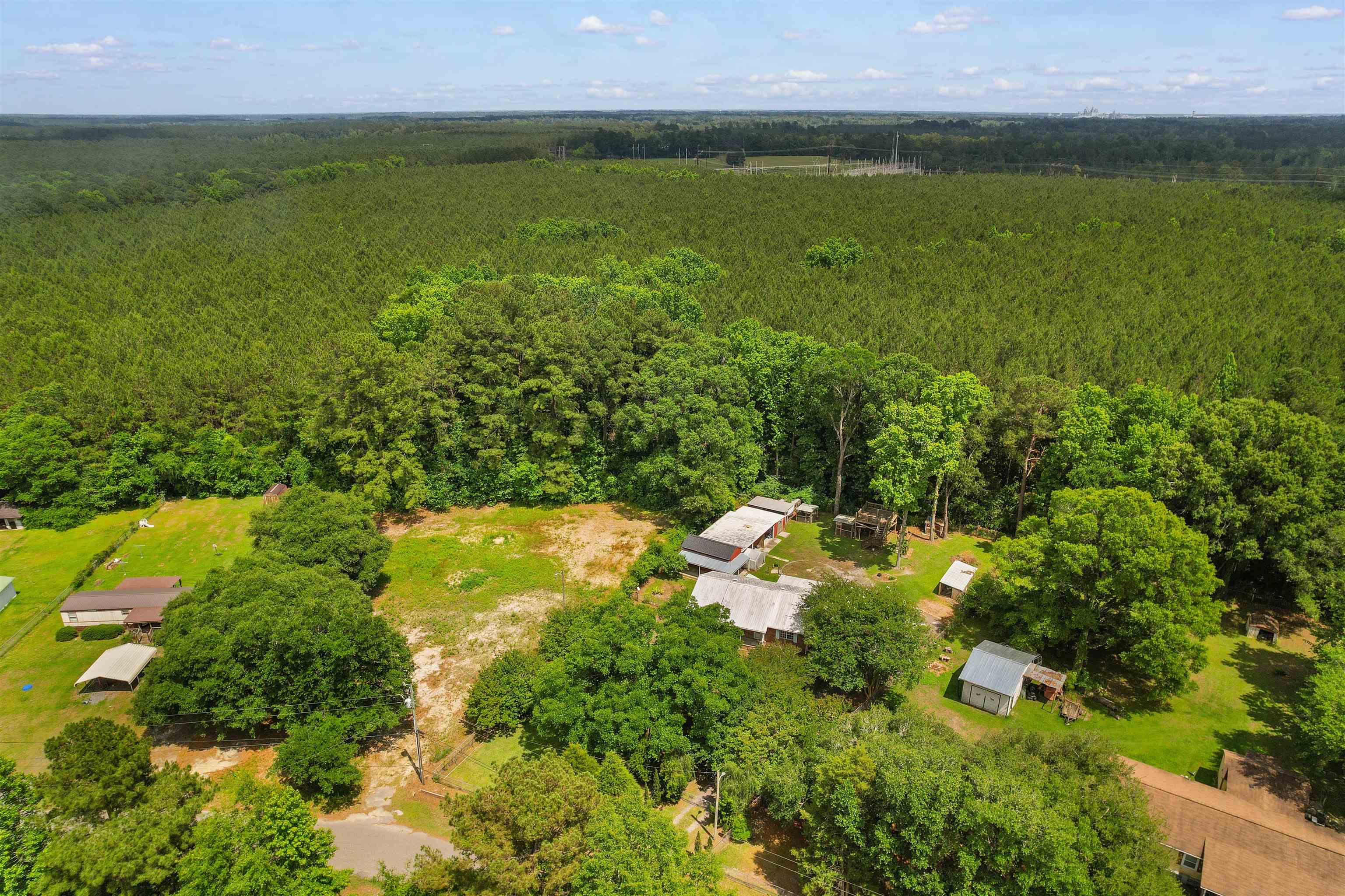 98 Wolf Drive Georgetown, SC 29440 - Photo 41 of 45