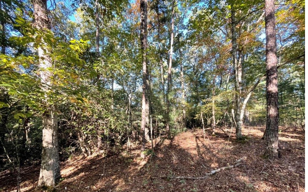 8 Sunset Terrace Murphy, NC 28906 - Photo 1 of 4 Main View