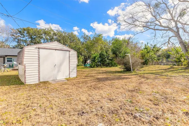 a view of backyard and tree