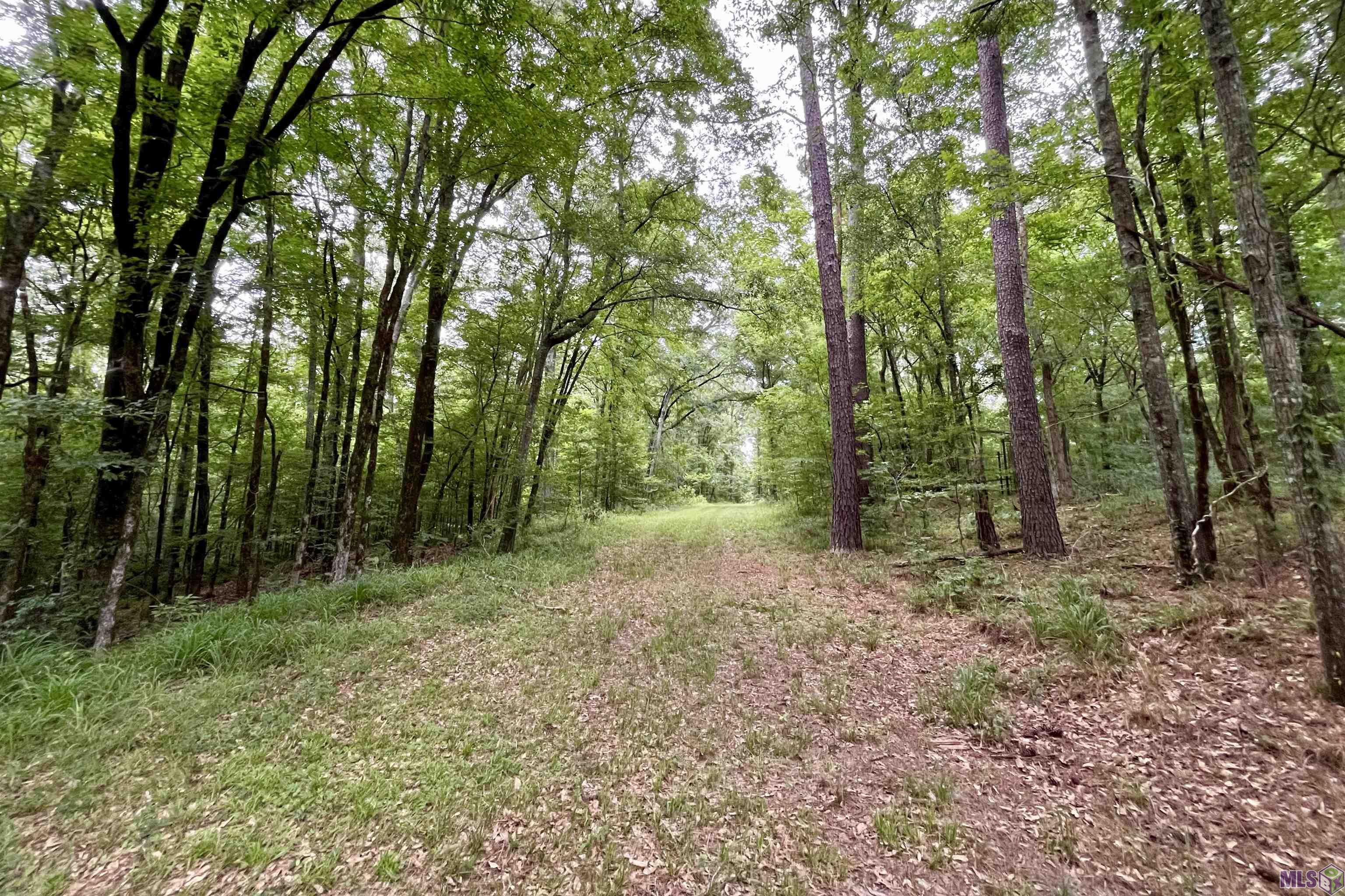 655 Oil Well Road Fayette, MS 39069 - Photo 52 of 58
