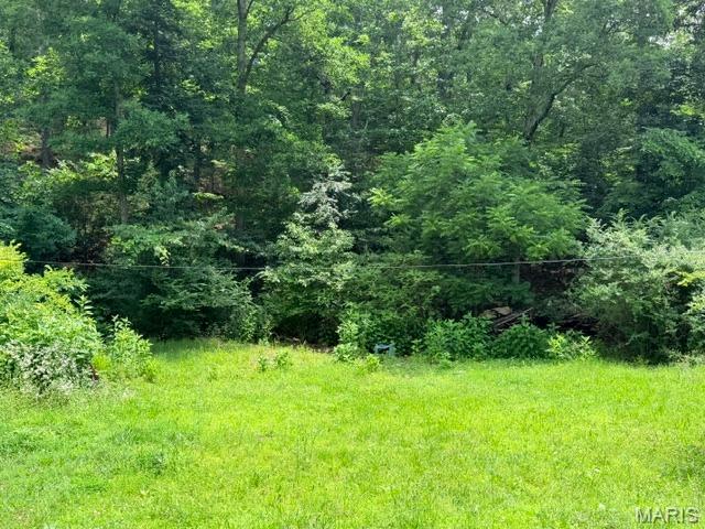 0 Northeast 6th Street Mill Spring, MO 63952 - Photo 2 of 6