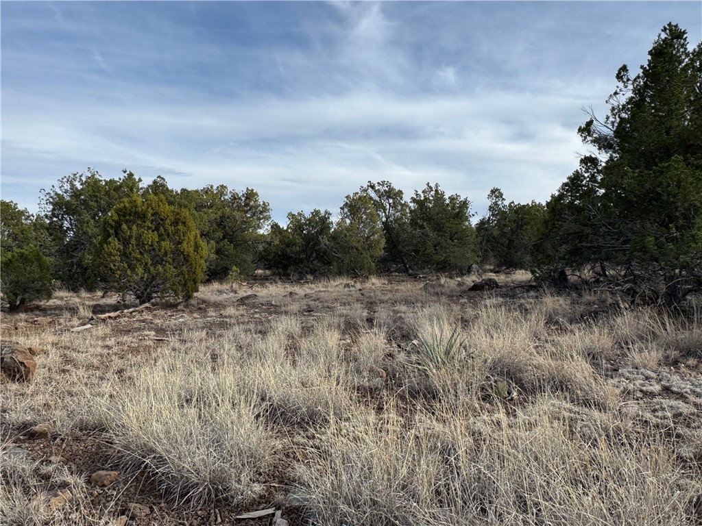 34745 West Running Shadow Road Seligman, AZ 86337 - Photo 33 of 52