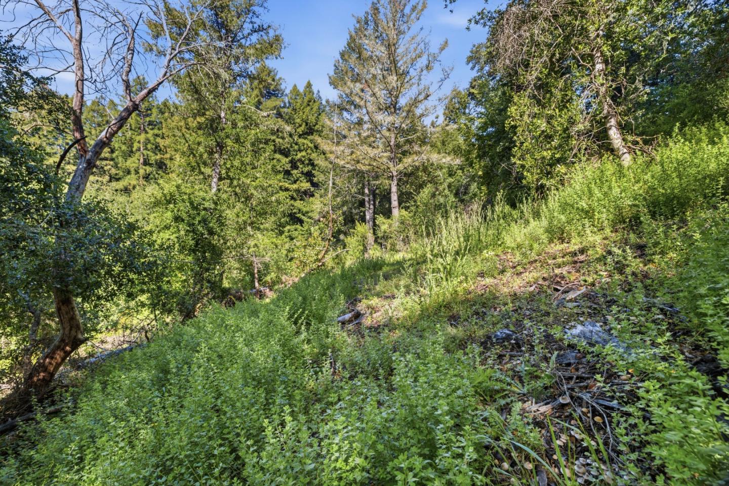 360 Rincon Way Boulder Creek, CA 95006 - Photo 41 of 46