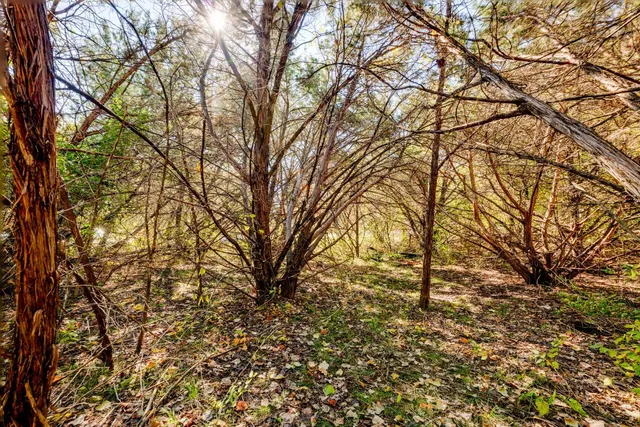 a backyard of a house with lots of trees
