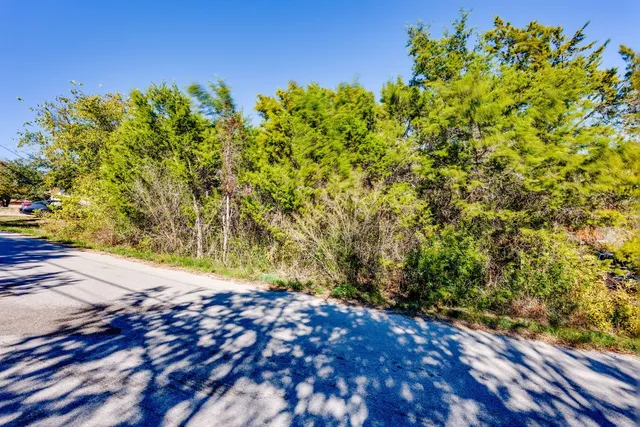 a view of a yard with plants and wooden fence