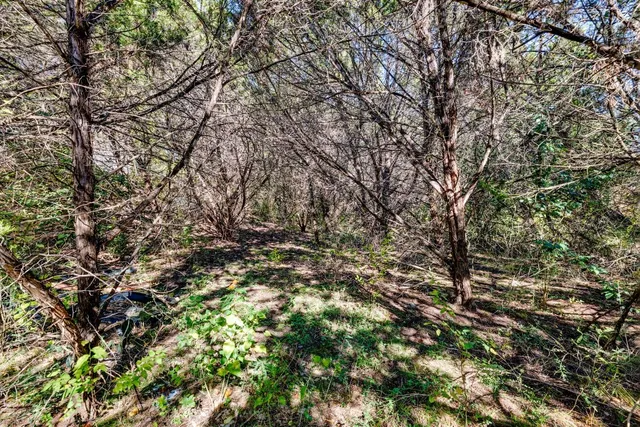 a view of a yard with a tree