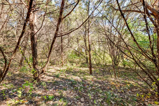 a view of empty yard