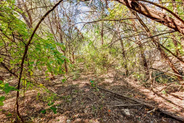 a backyard of a house with lots of trees