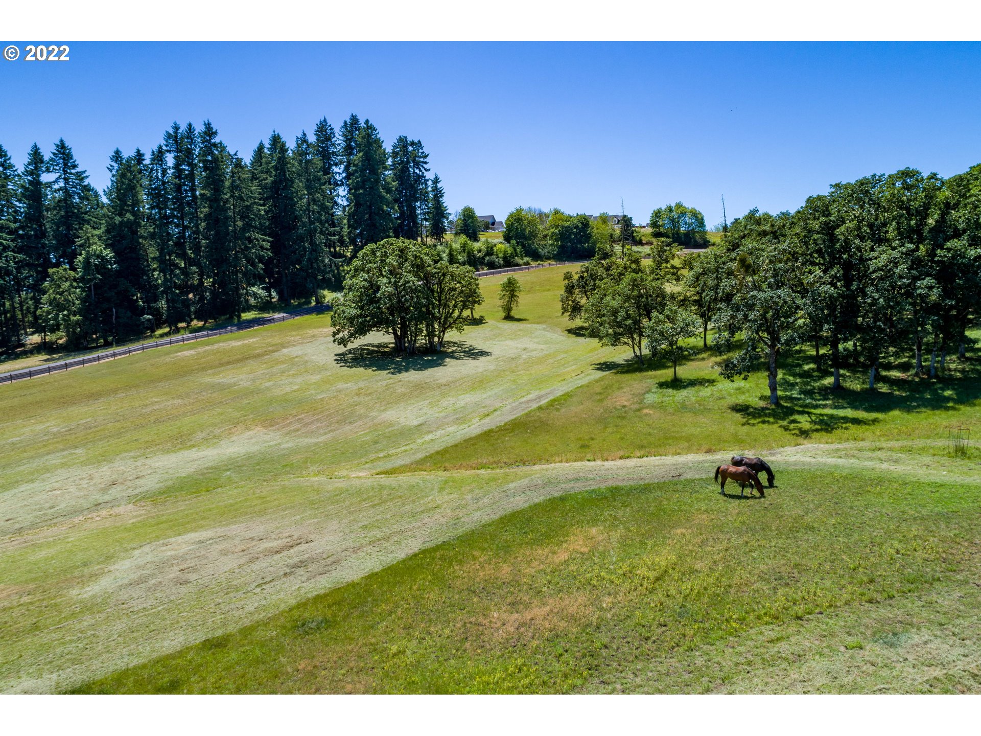 36995 Wallace Creek Road Springfield, OR 97478 - Photo 12 of 32 Acreage
