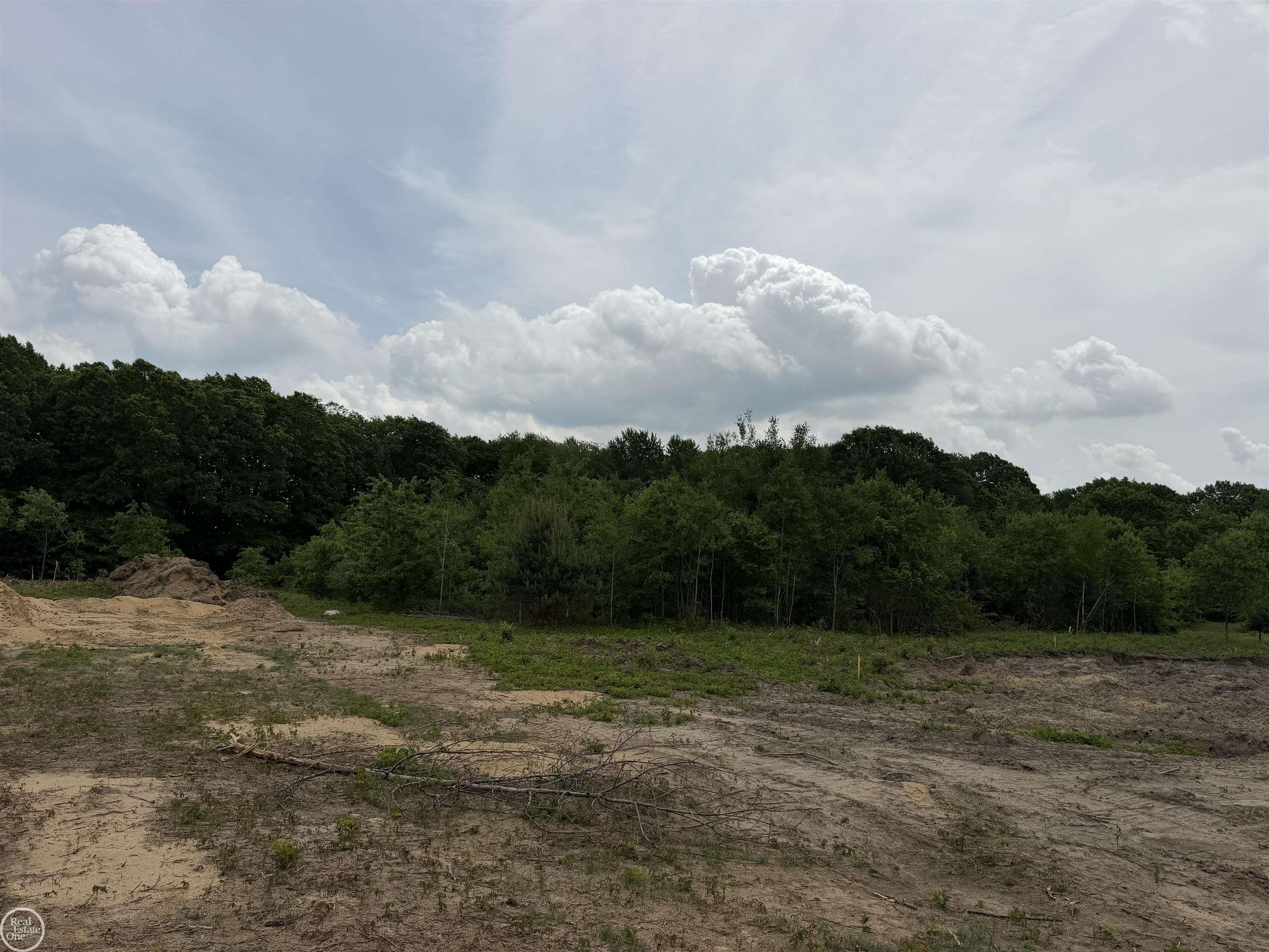 0 Parker Road Fort Gratiot, MI 48059 - Photo 12 of 16