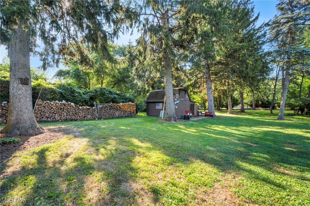 25915 Kennedy Ridge Road North Olmsted, OH 44070 - Photo 41 of 48 View of grassy yard featuring a shed and view of wooded area