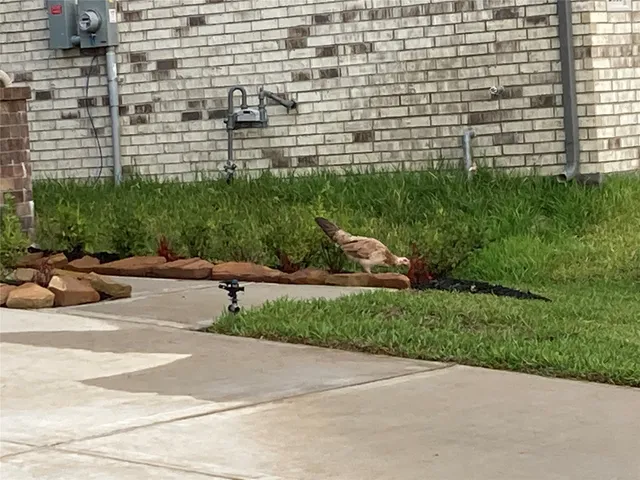 $2,400 | 22826 Ephesus Avenue, Tomball, TX 77377