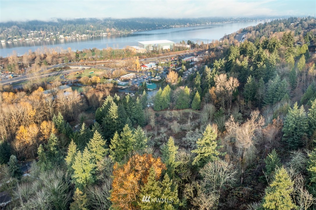 4196 Lincoln Court Northeast Renton, WA 98056 - Photo 12 of 13 a view of lake and mountain
