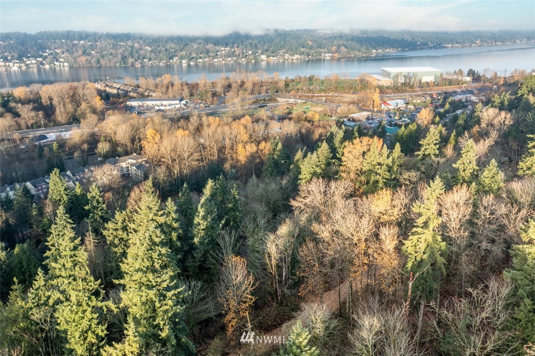 4196 Lincoln Court Northeast Renton, WA 98056 - Photo 6 of 13 a view of lake and mountain
