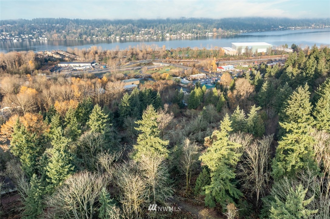 4196 Lincoln Court Northeast Renton, WA 98056 - Photo 8 of 13 a view of lake and mountain