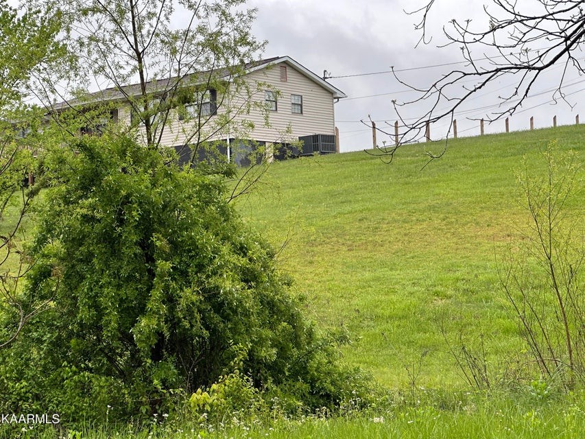 291 Dynatex Road Sunbright, TN 37872 - Photo 23 of 23 a view of a backyard with plants and large trees