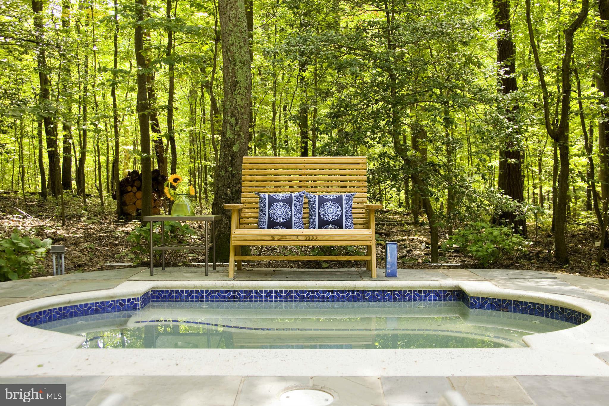650 Springvale Road Great Falls, VA 22066 - Photo 22 of 28 a view of swimming pool with a yard