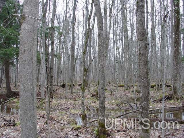 Near East Shore Road Bergland, MI 49910 - Photo 6 of 8 Gallery Image 6