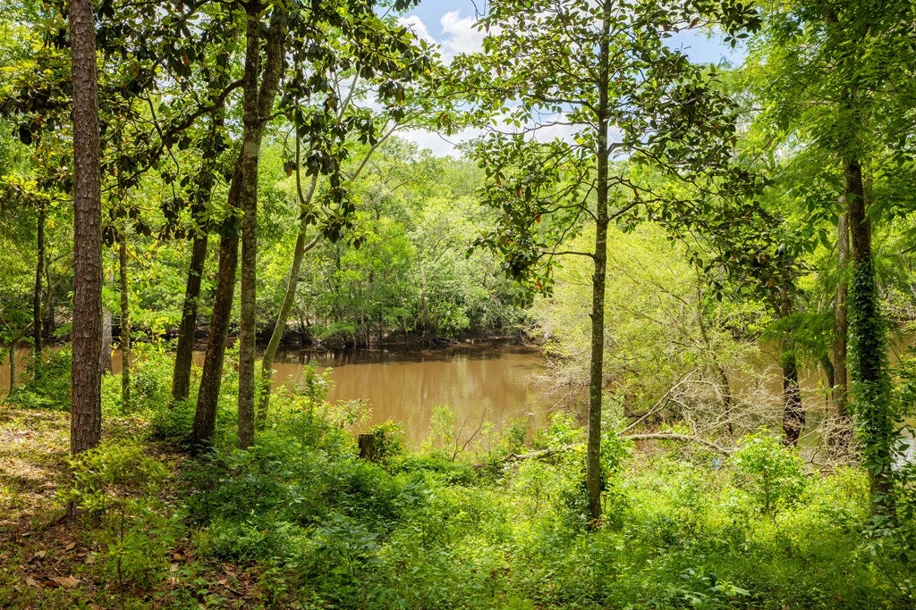 8610 Morven Road Hahira, GA 31632 - Photo 72 of 75 Gallery Image 72