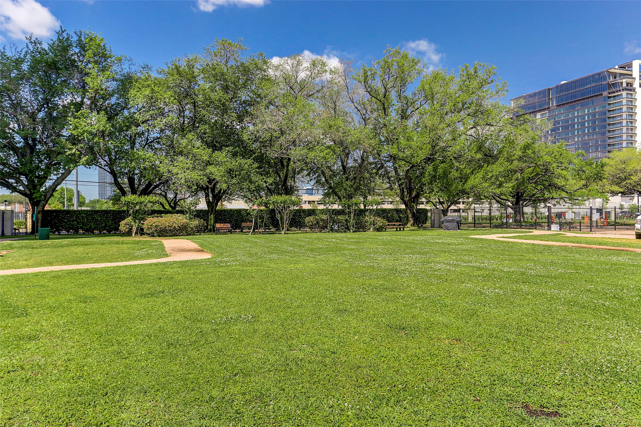 2929 Buffalo Speedway, Unit A513 Houston, TX 77098 - Photo 20 of 24 a view of a park with large trees