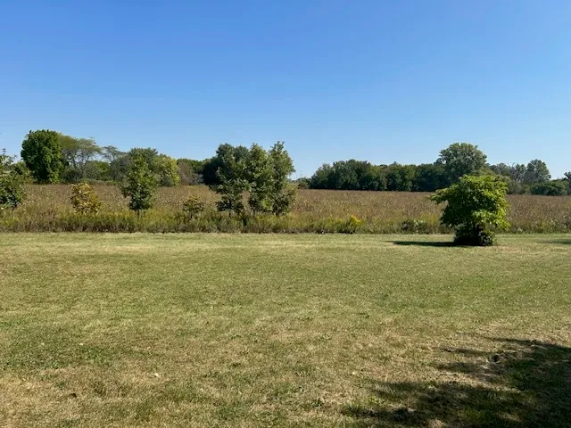 a view of a field with an ocean