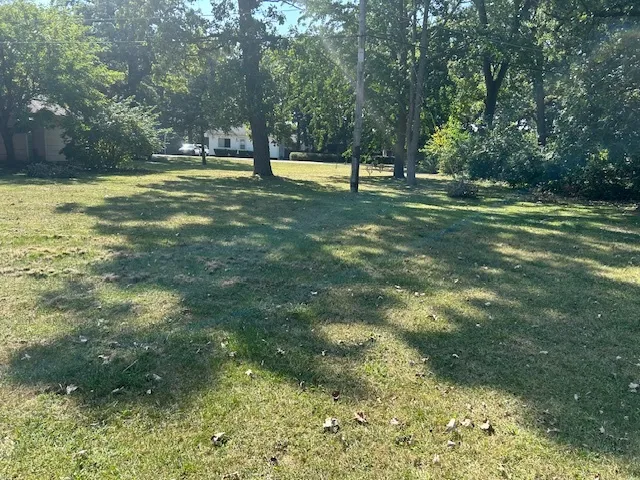 a view of outdoor space with trees all around