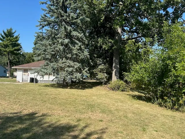a view of a yard with a tree