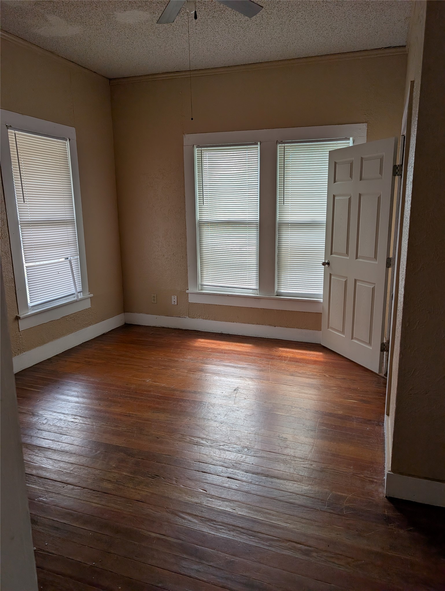 301 Park Street Taylor, TX 76574 - Photo 5 of 13 an empty room with wooden floor and windows