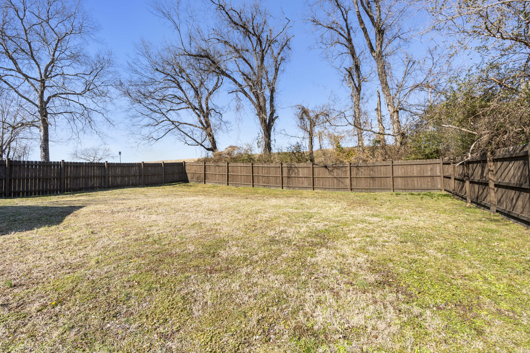 706 West 7th Street Columbia, TN 38401 - Photo 37 of 52